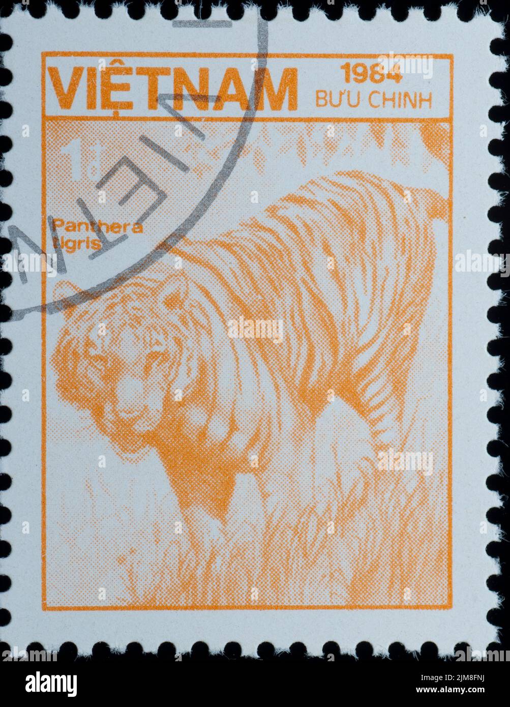 VIETNAM - CIRCA 1984: Francobollo - animale tigre bengala Foto Stock