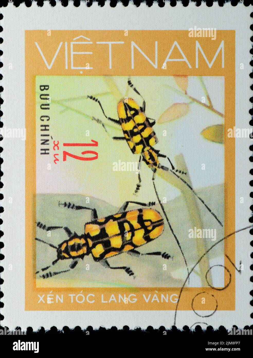 VIETNAM - CIRCA 1980s: Francobollo - animale insetto lungo scarabeo corno Foto Stock