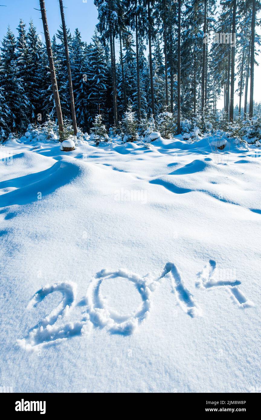 Anno 2014 nella foresta d'inverno Foto Stock