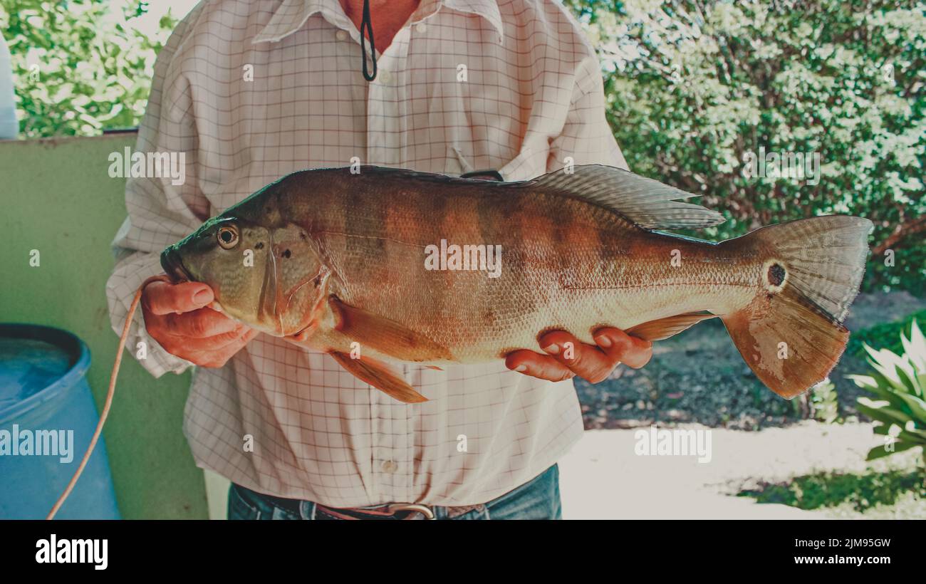 pescatore che mostra pavone basso Foto Stock