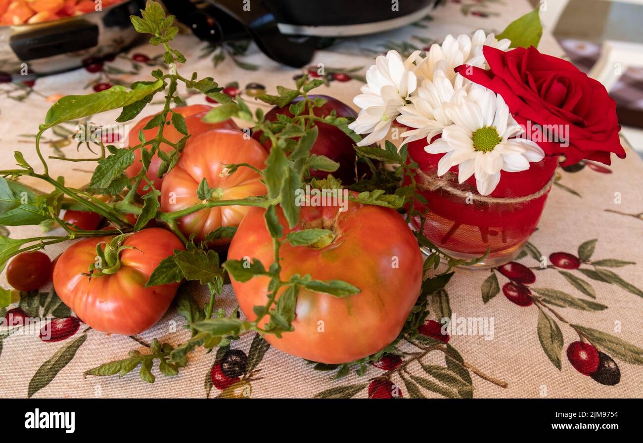 Tomates recogidos de la planta, con las ramas y un vaso con una rosa roja y margaritas Foto Stock