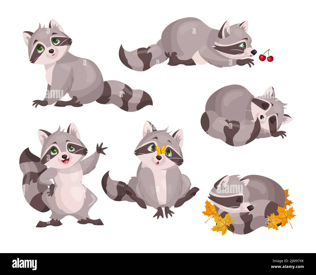 Set di simpatici personaggi da raccoon. Illustrazioni vettoriali di piccoli animali selvatici della foresta. Fumetto pose divertenti di dormire, giocare, onditare adorabile raccoon isol Illustrazione Vettoriale