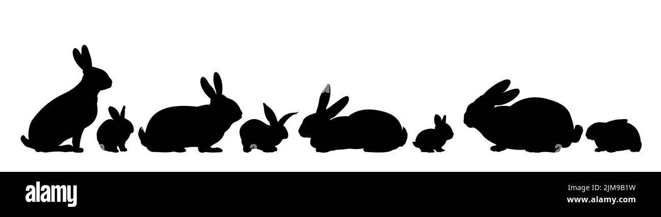 Set di conigli sta pascolare. Figura silhouette. Animali da fattoria. Animali da pelliccia. Isolato su sfondo bianco. Vettore Illustrazione Vettoriale