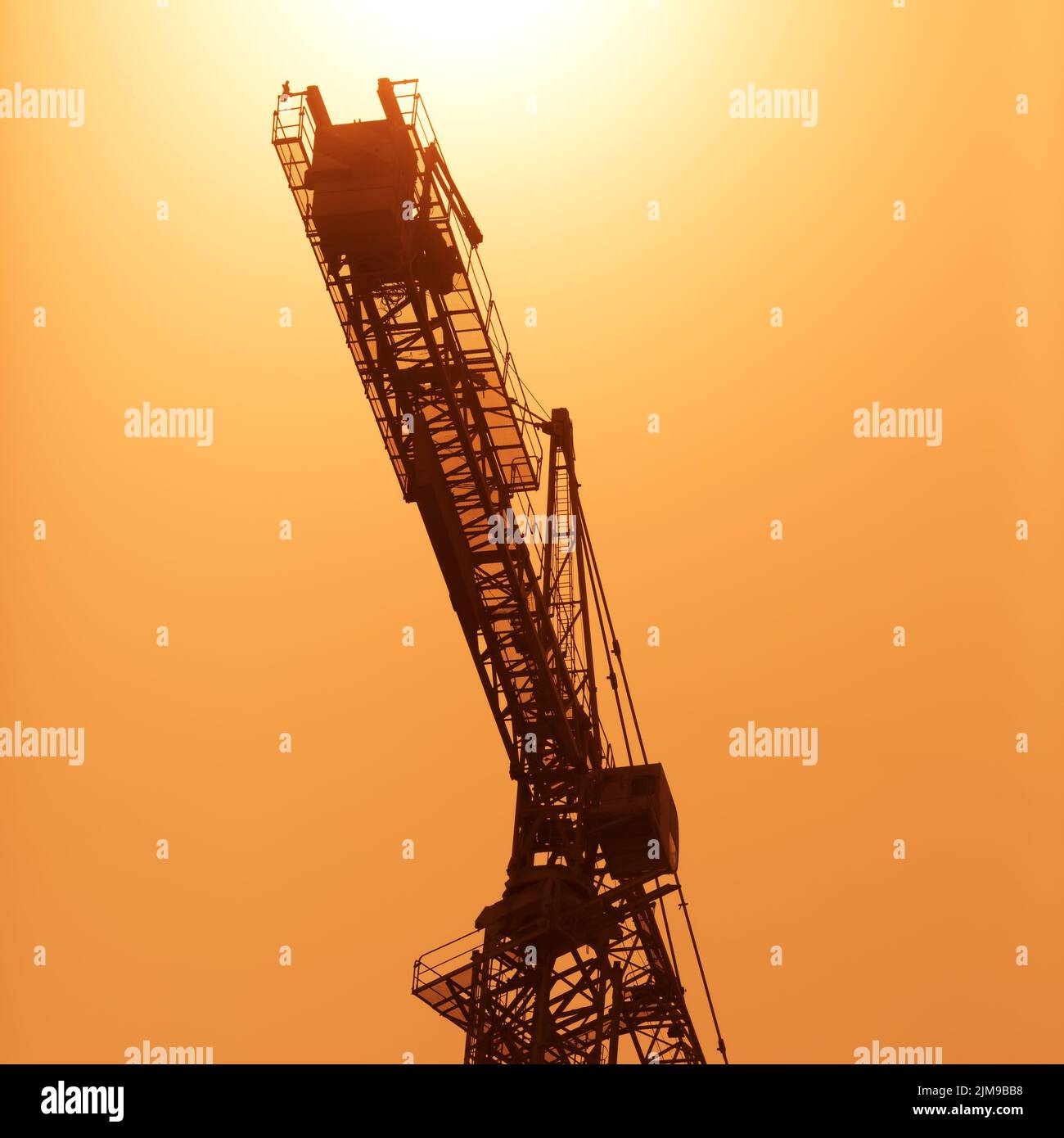 Grande gru Foto Stock