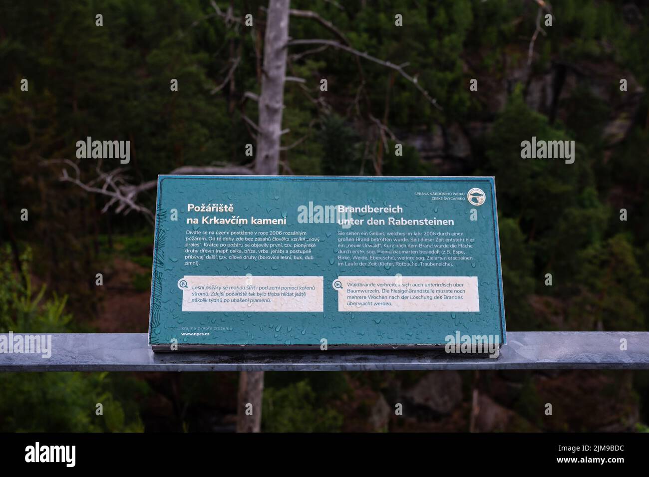 Pannello informativo in lingua ceca e tedesca nel Parco Nazionale della Svizzera Boema Foto Stock