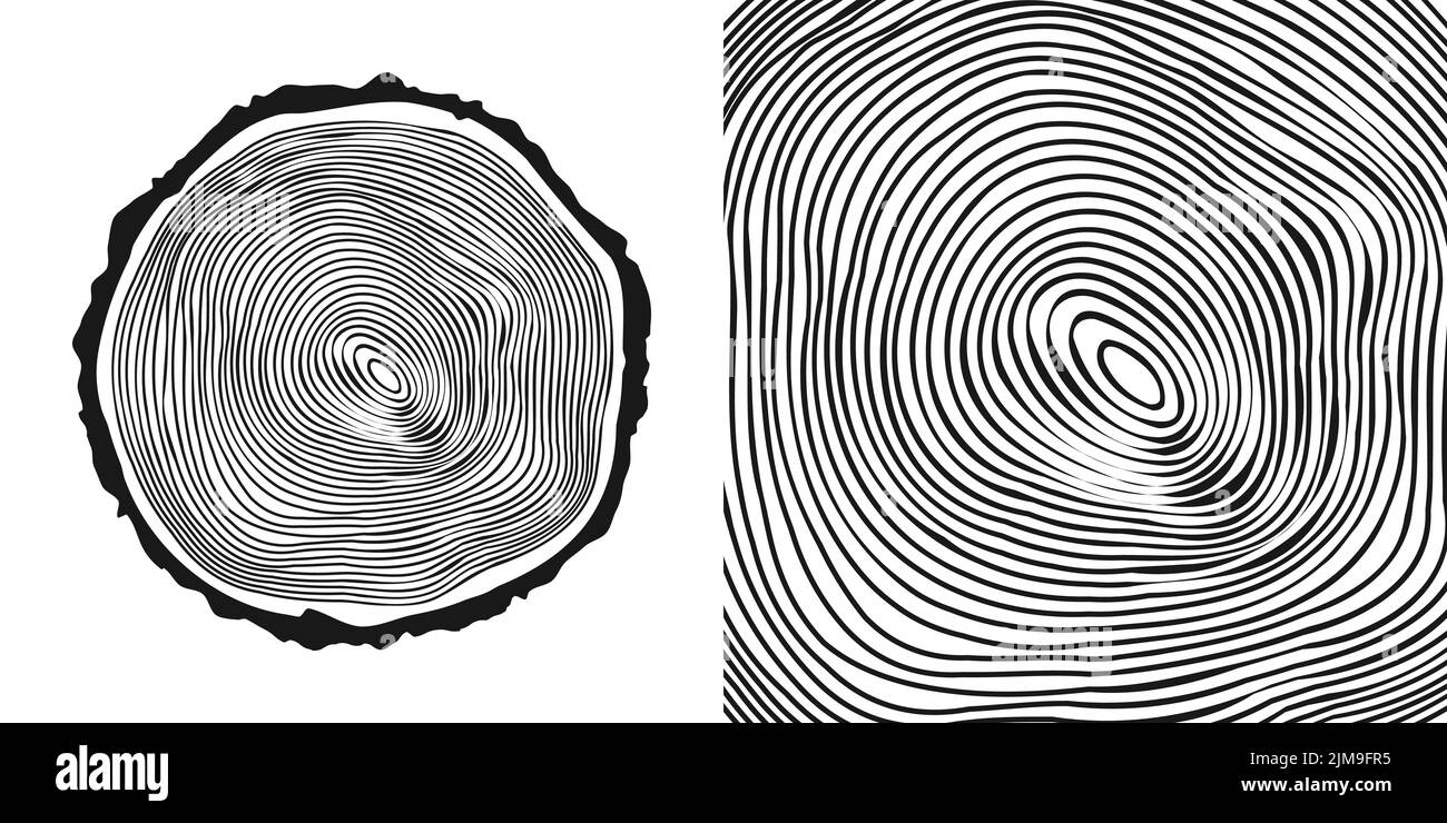 Tronco di albero rotondo tagliato, segato pino o fetta di quercia. Legname tagliato da poco, legno. Tessitura di legno con anelli di albero. Schizzo disegnato a mano. Illustrazione vettoriale Illustrazione Vettoriale