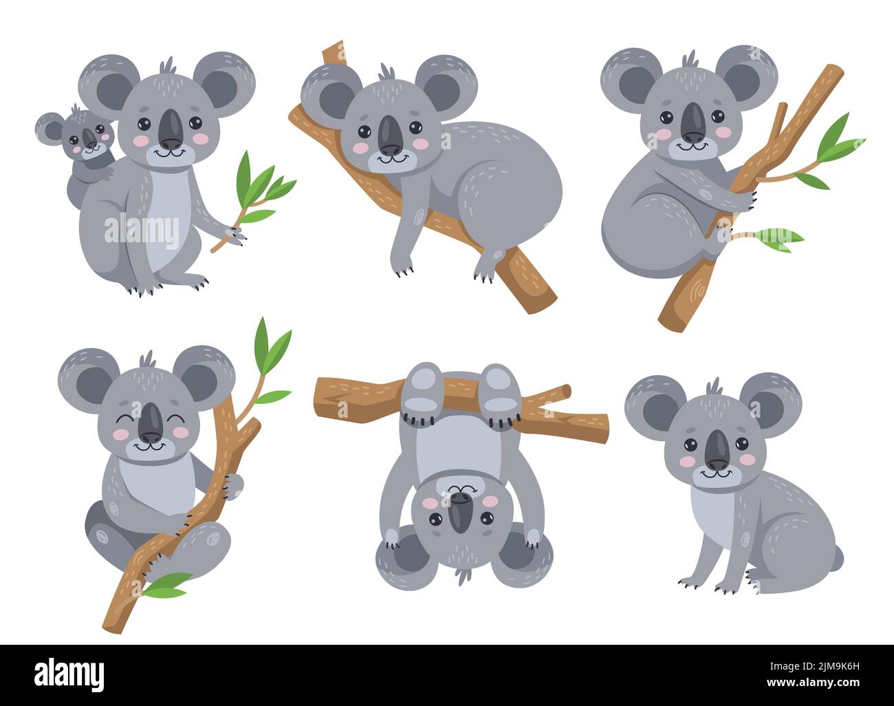 Carino koala seduto su un set di illustrazioni cartoni animati dell'albero eucalipto. Adorabile orso australiano con bambino, sdraiato e appeso su albero, tenendo ramo foglia. Wi Illustrazione Vettoriale