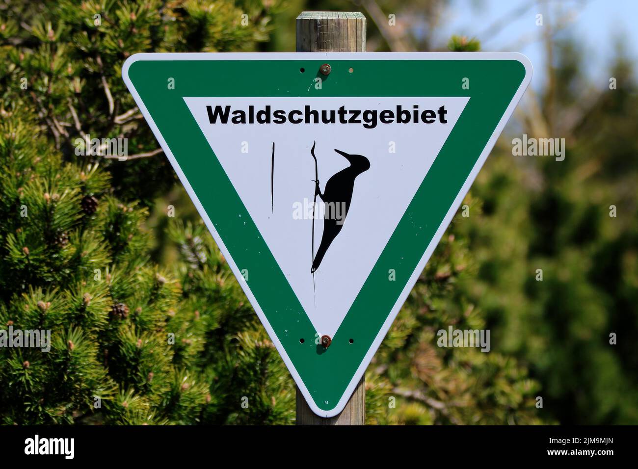 Segno - riserva naturale di legno Hornisgrinde Foto Stock