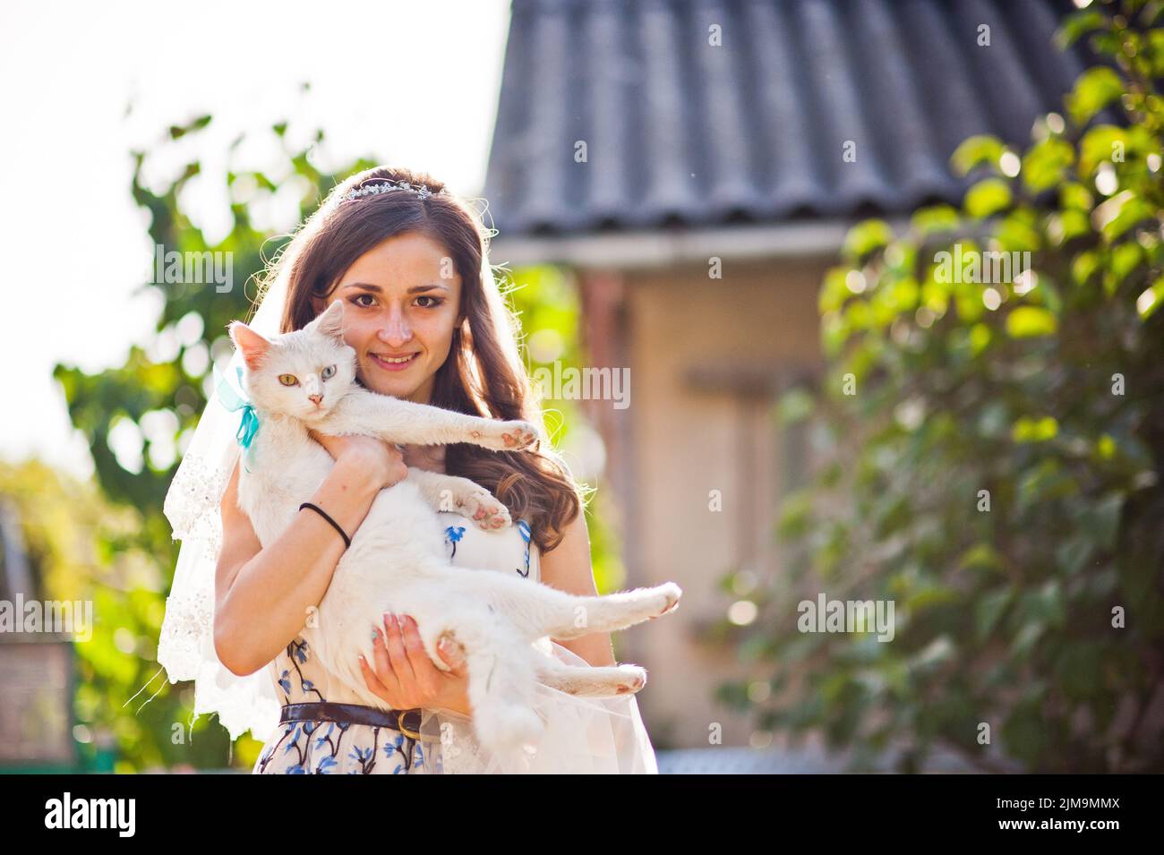 Ragazza sposa tiene sulle mani di bianco gatto con differenti occhi colorati Foto Stock