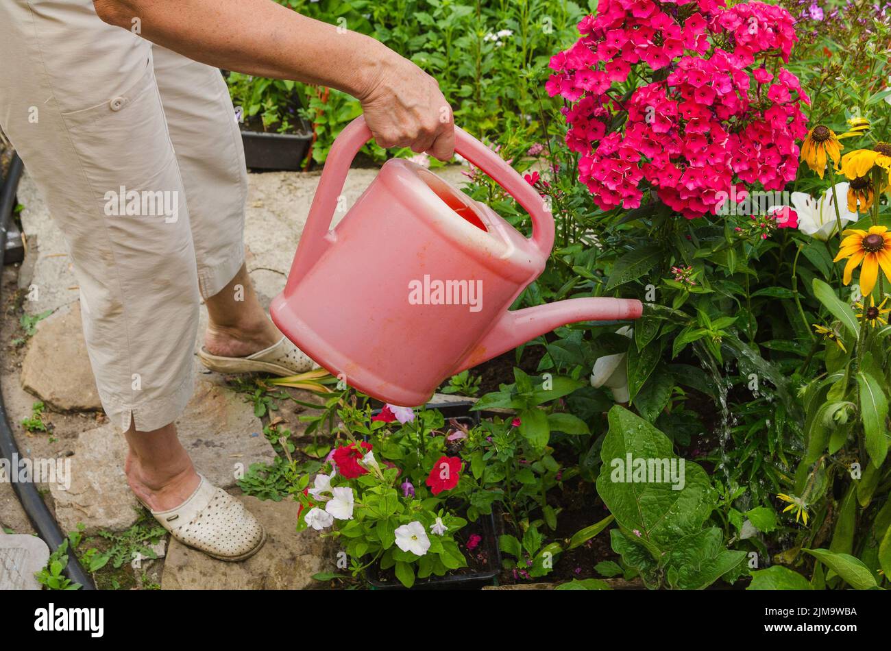 Donna di fiori di irrigazione Foto Stock