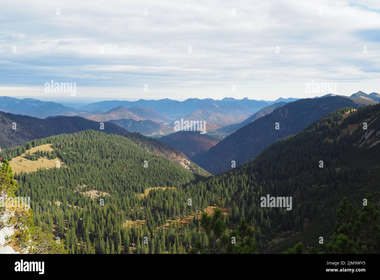 Foreste di conifere immagini e fotografie stock ad alta risoluzione - Alamy