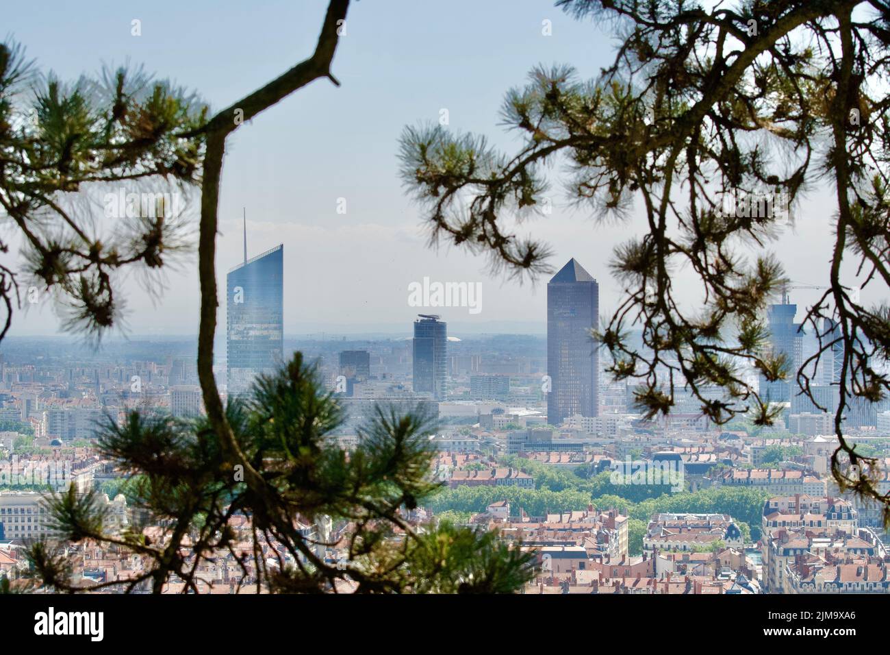 Lione CBD visto attraverso i rami degli alberi. Lione verde e accogliente città Foto Stock