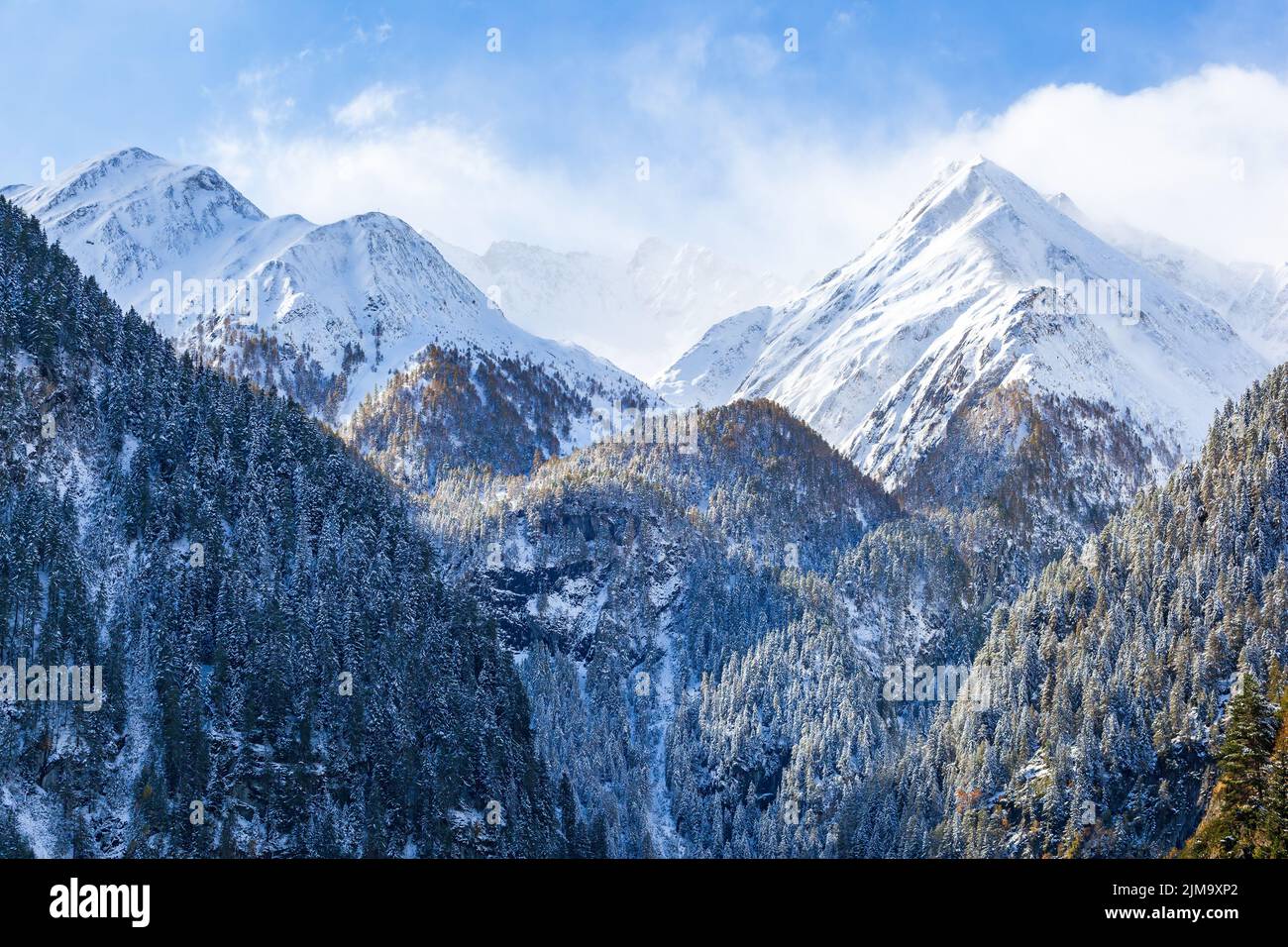 Vette innevate nella natura selvaggia delle alpi Foto Stock