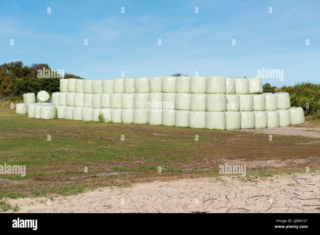 Balle di fieno impilate avvolte in plastica Foto Stock