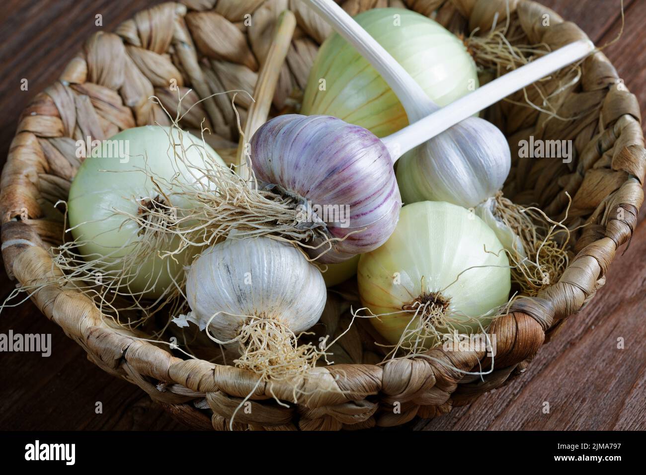 Cipolla giovane e aglio in un cestino di vimini sul tavolo Foto Stock