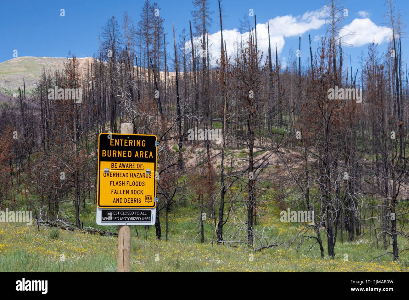 Grand County, Colorado - le conseguenze del fuoco problematico orientale. Il fuoco era uno dei più grandi della storia del Colorado, bruciando quasi 200.000 acr Foto Stock