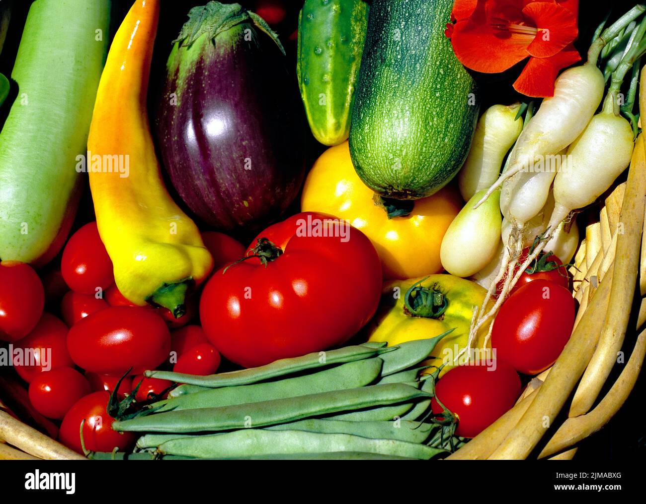Un cestino pieno di una varietà di vegetabkes da un gadren domestico Foto Stock