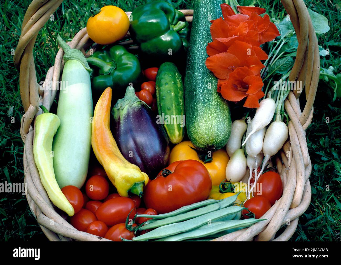 Un cestino pieno di una varietà di vegetabkes da un gadren domestico Foto Stock