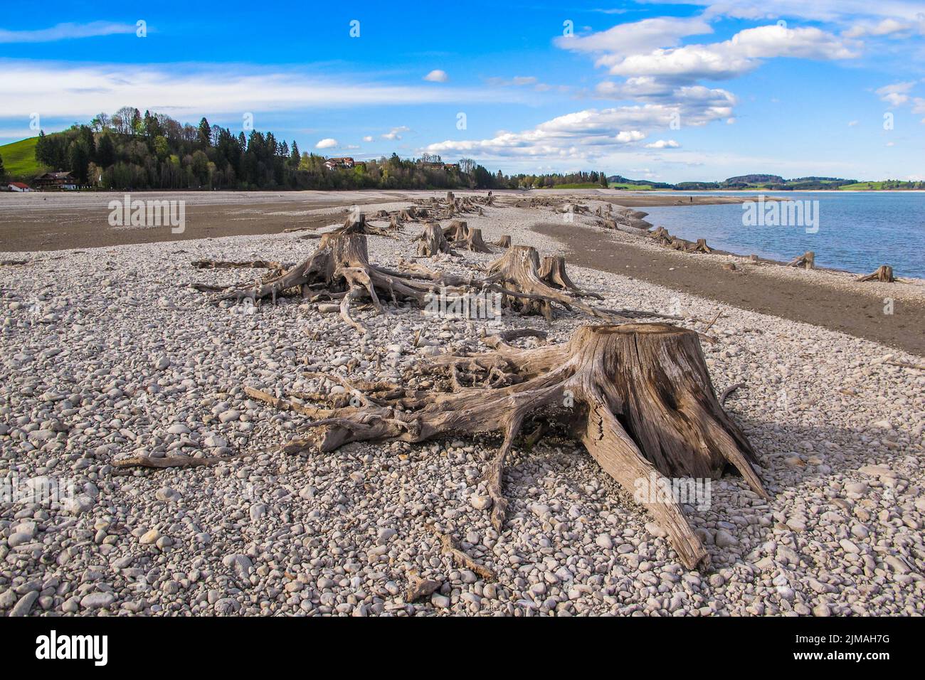 Paesaggio in Baviera - Lago di Forggensee - AllgÃ¤u Foto Stock