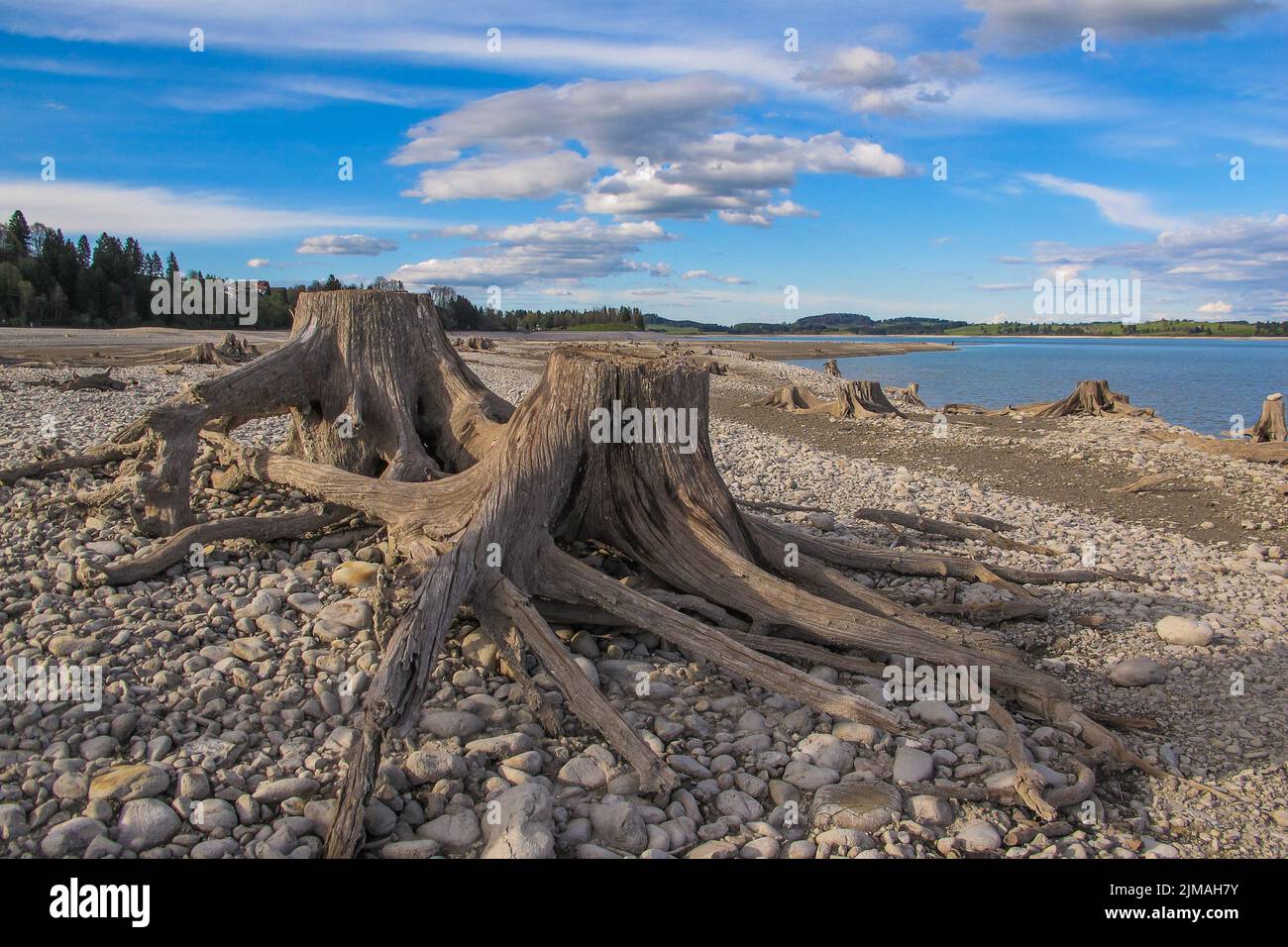 Paesaggio in Baviera - Lago di Forggensee - AllgÃ¤u Foto Stock