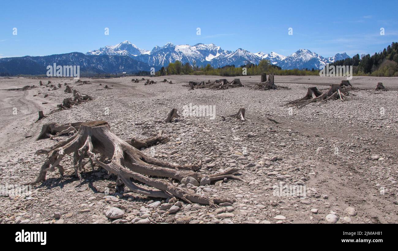 Paesaggio in Baviera - Lago di Forggensee - AllgÃ¤u Foto Stock