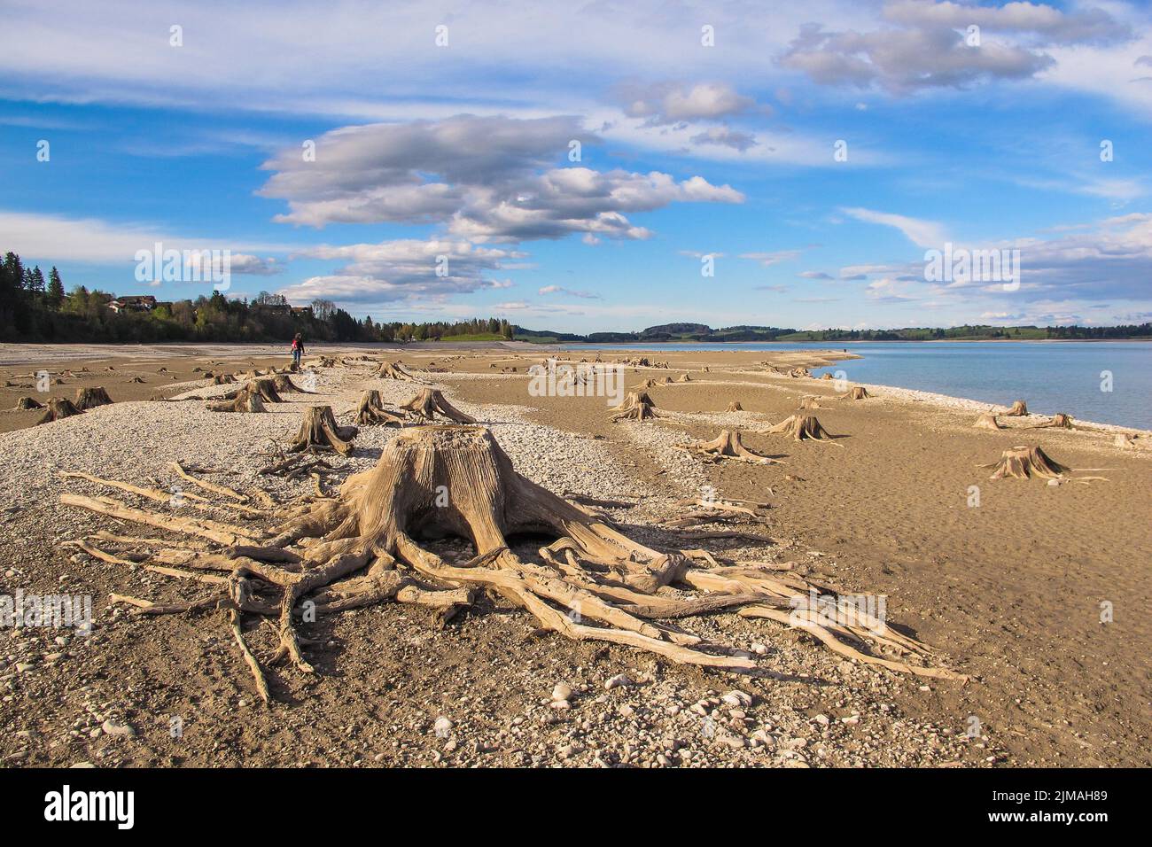 Paesaggio in Baviera - Lago di Forggensee - AllgÃ¤u Foto Stock