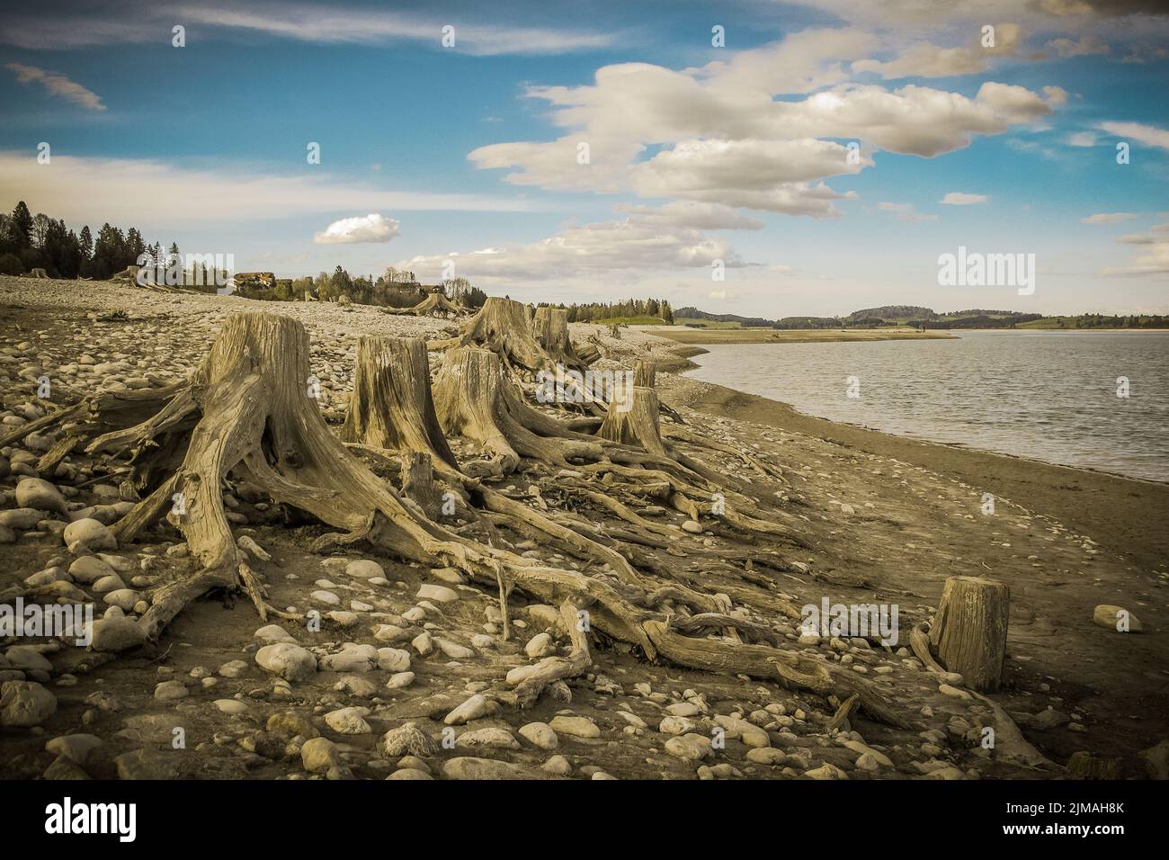 Paesaggio in Baviera - Lago di Forggensee - AllgÃ¤u Foto Stock