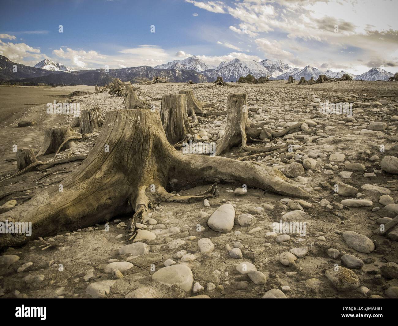 Paesaggio in Baviera - Lago di Forggensee - AllgÃ¤u Foto Stock