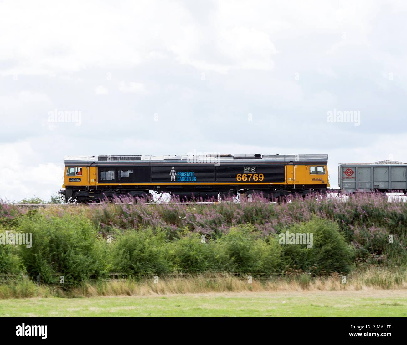 GBRf classe 66 locomotiva diesel No.66769 nella livrea del cancro della prostata, Warwickshire, Regno Unito Foto Stock