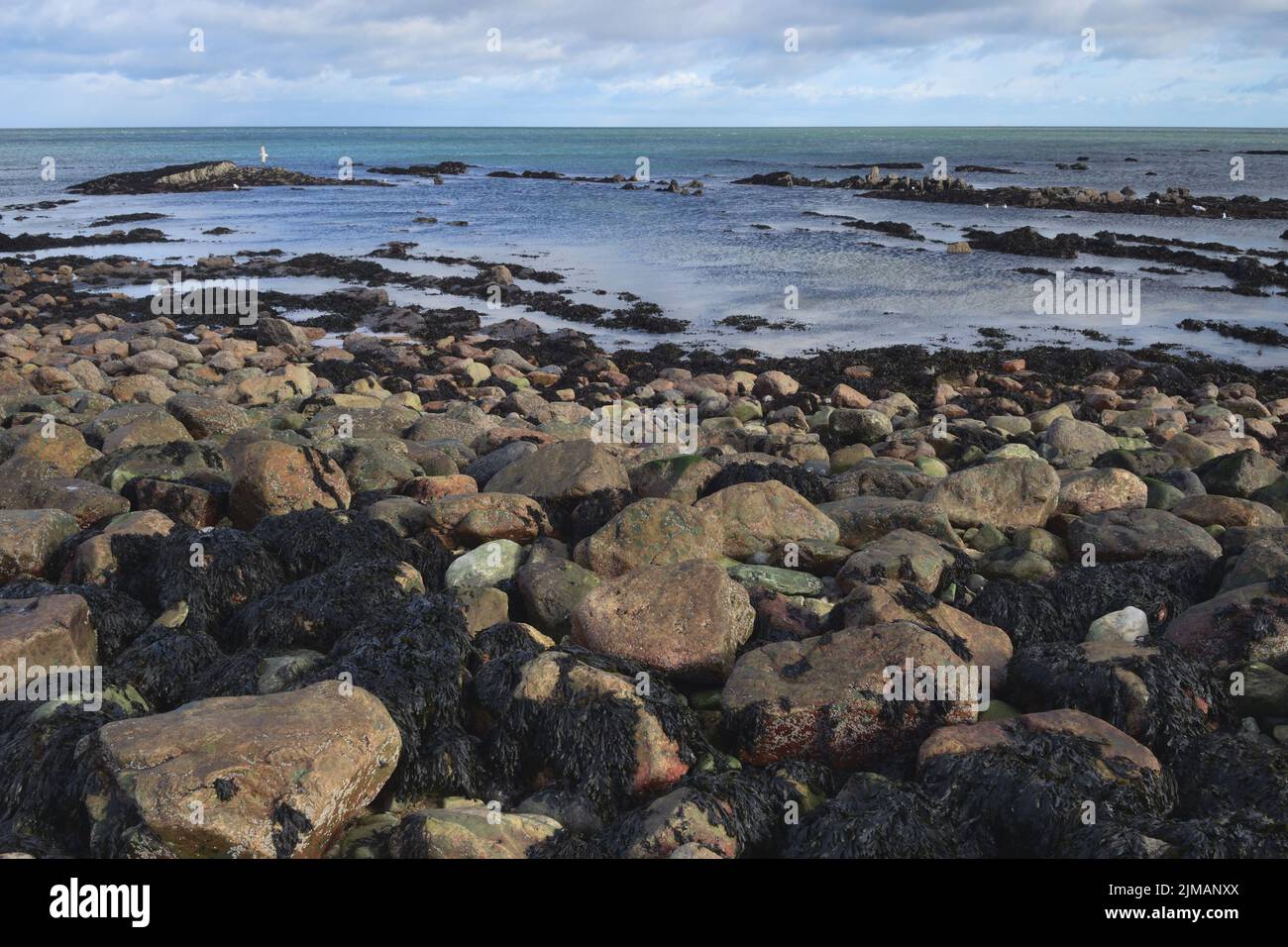 Howth - Costa sul Mare d'Irlanda, Irlanda Foto Stock