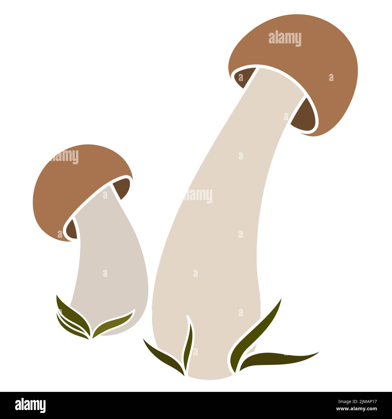 Set di funghi vettore semplice illustrazione isolato su sfondo bianco. Colore versione disegnata a mano. Micologia vettoriale. Fungo naturale sano, autunno d Illustrazione Vettoriale