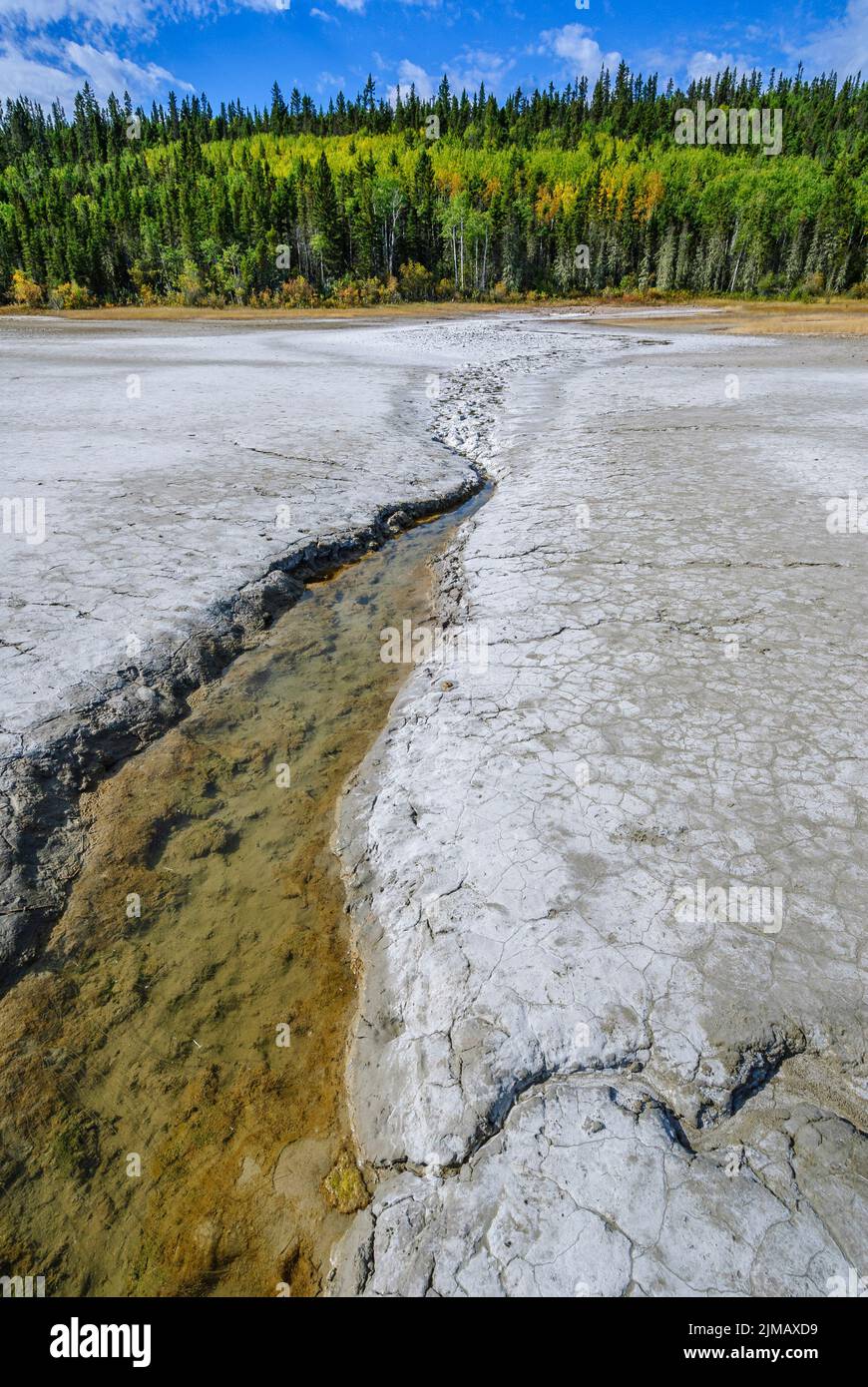 Una sorgente minerale satura di sali disciolti fuoriesce dal terreno ai margini della Salt Plain nel Wood Buffalo National Park Foto Stock