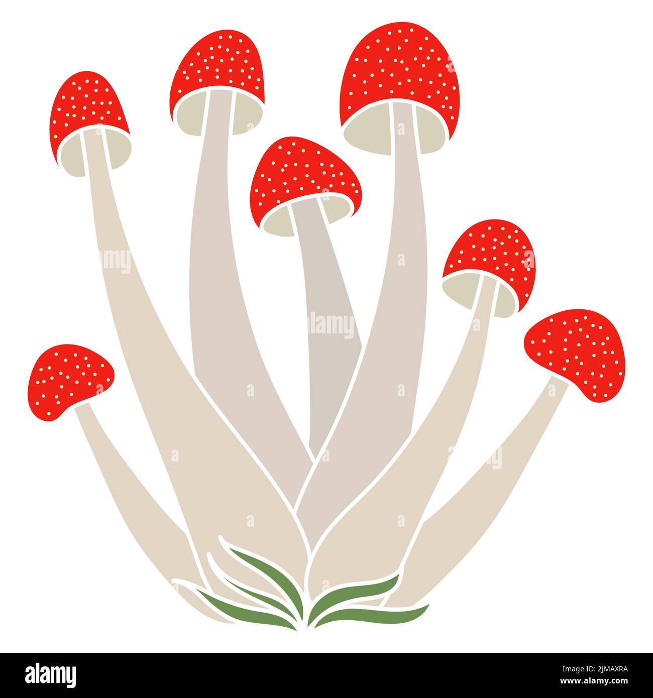Set di funghi velenosi vettore semplice illustrazione isolato su sfondo bianco. Versione colorata. Micologia vettoriale. Fungo naturale sano, autunno Illustrazione Vettoriale