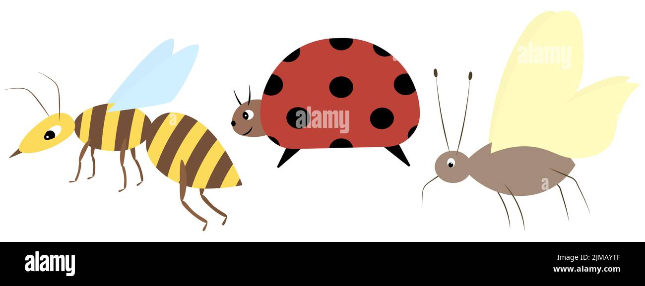 Raccolta di insetti. WASP, ladybug, zanzara. Set di illustrazioni vettoriali colorate. Stile piatto. Creature alate. Sfondo isolato. Illustrazione Vettoriale