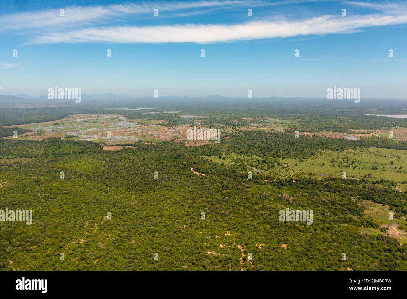 Vista aerea dei campi agricoli con piante agricole tra la giungla. Paesaggio rurale. Sri Lanka. Foto Stock