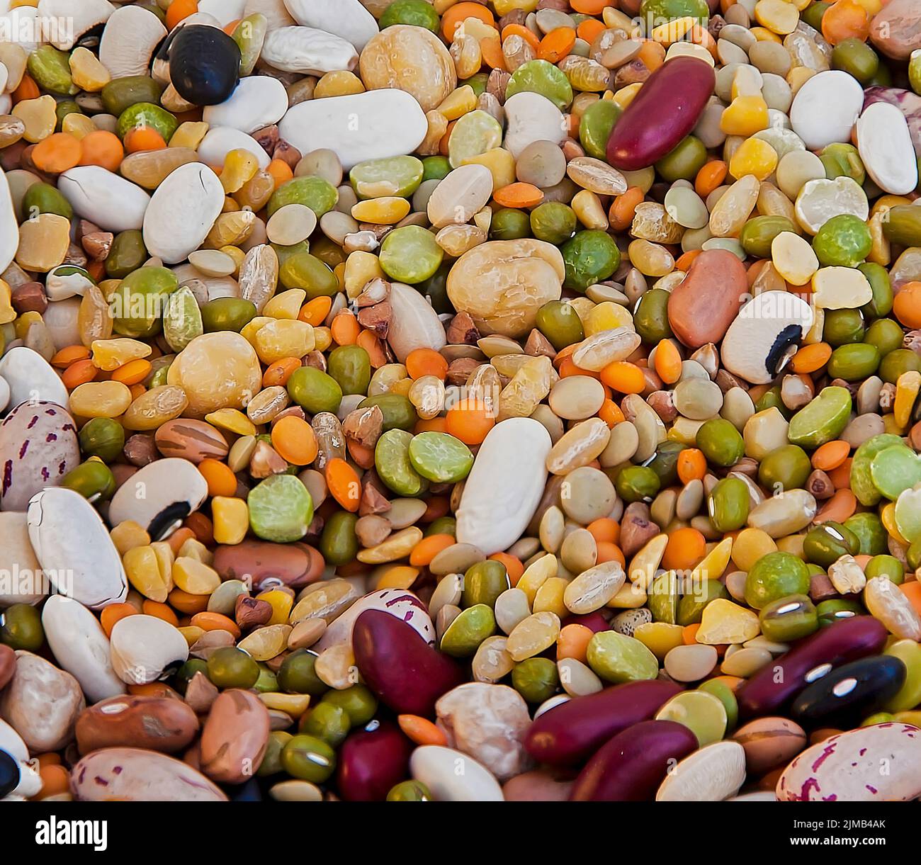 Fagioli secchi multicolore . Primo piano. Immagine stock. Foto Stock