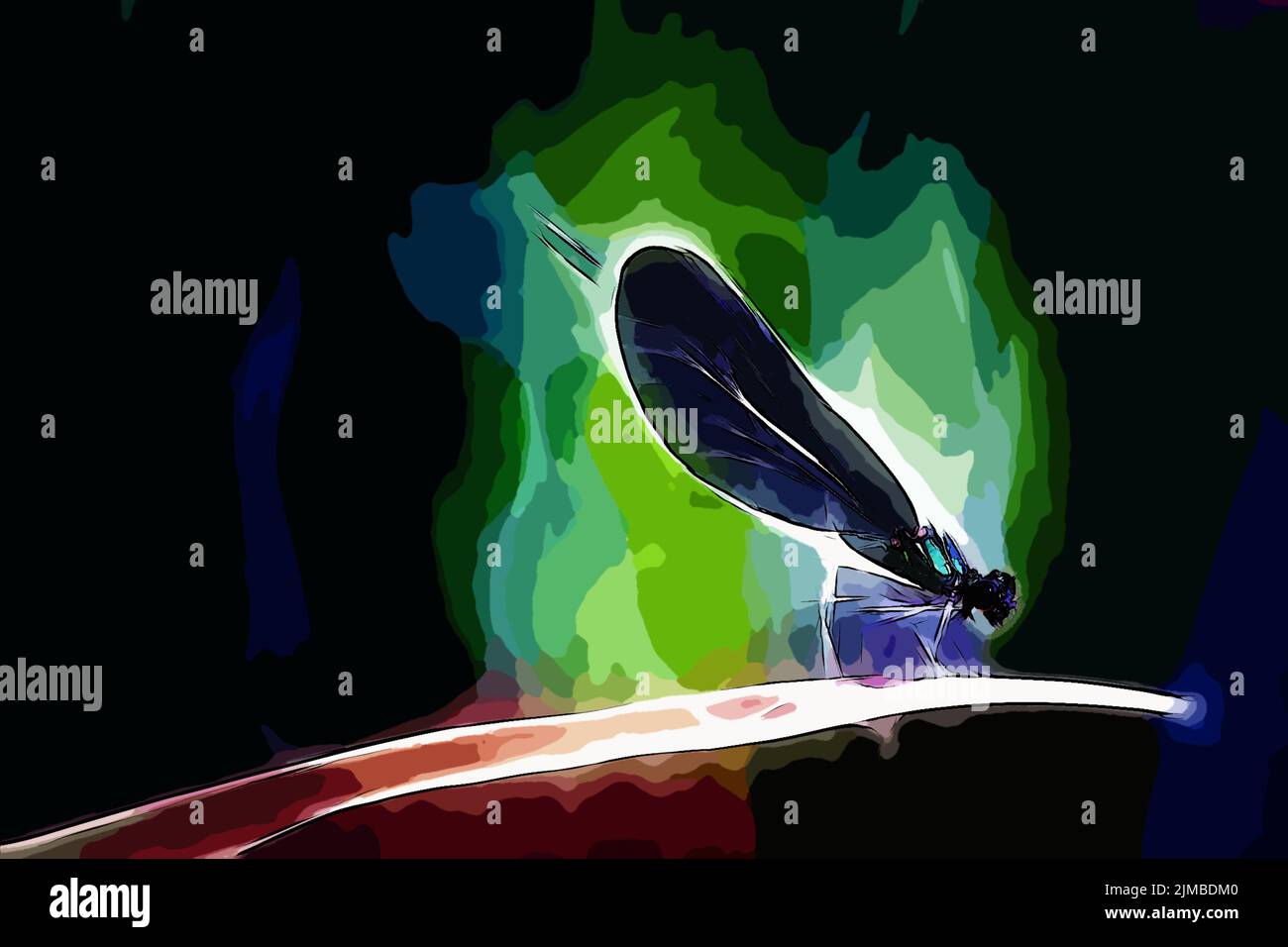 Libellula Foto Stock