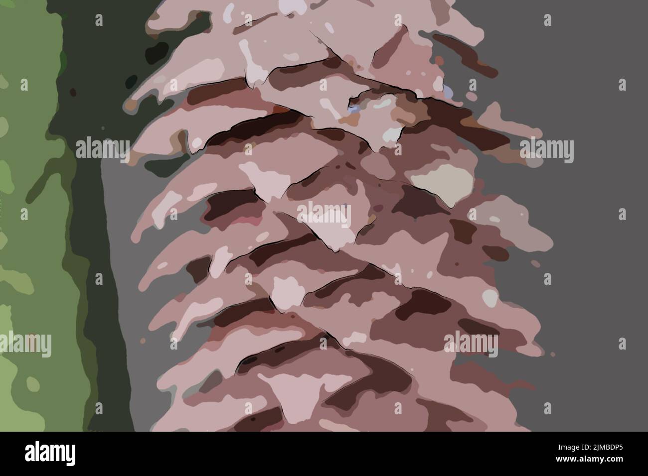 Coni del pino Foto Stock