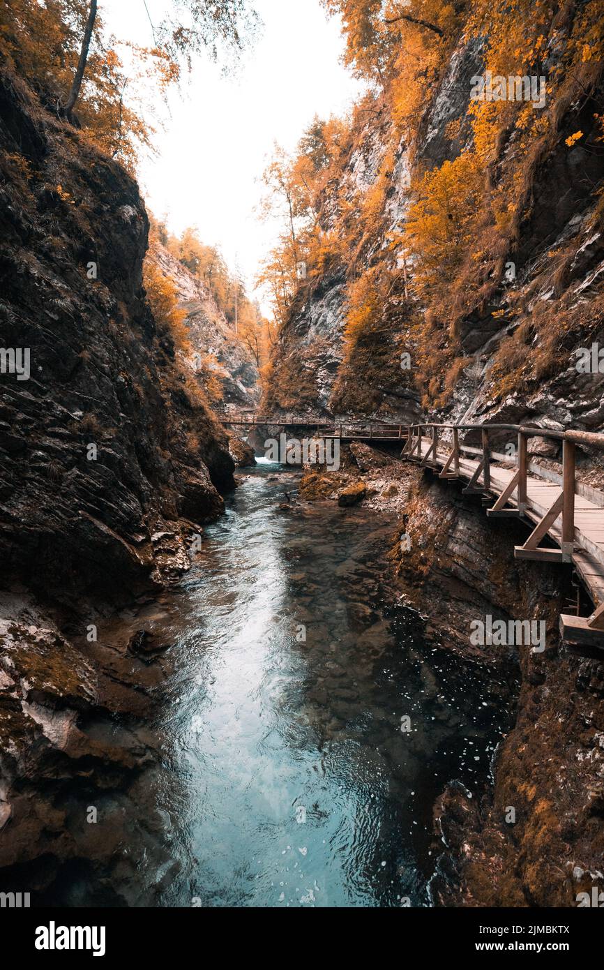 Gola gorge e percorso di legno,Bled, Slovenia con colori autunnali Foto Stock