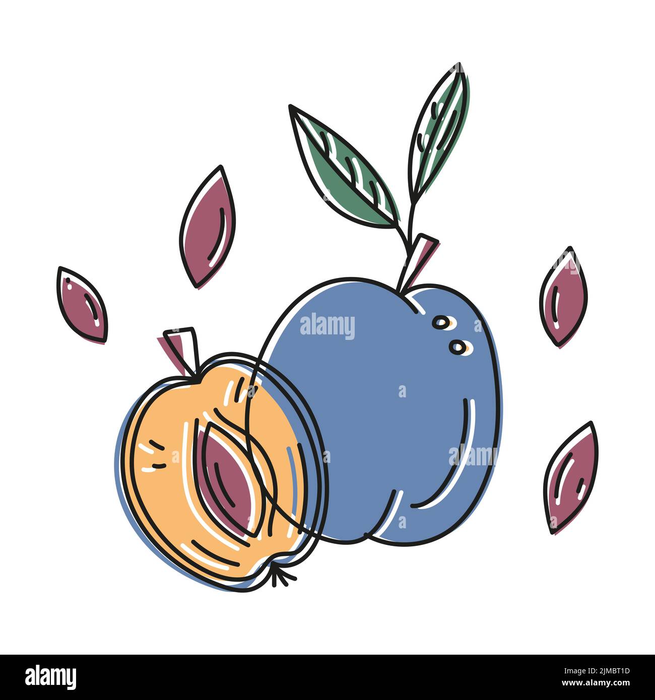 Illustrazione vettoriale di contorno delle prugne intere e tagliate con i pozzi in stile doodle. Disegno con contorno di offset. Illustrazione Vettoriale