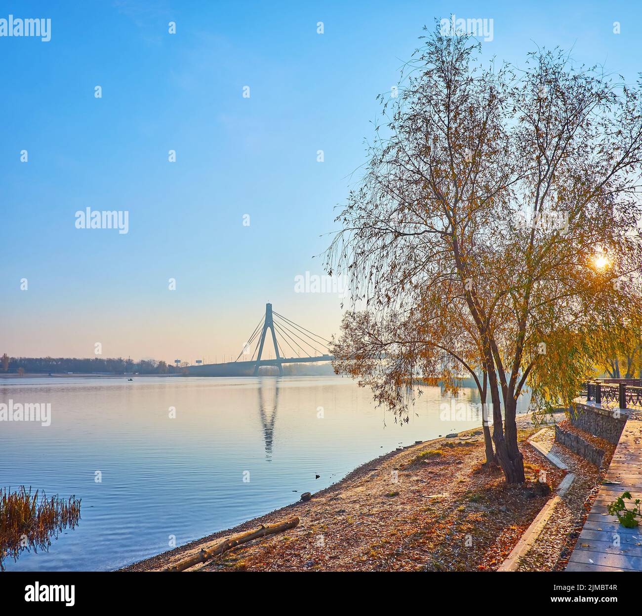 Il pittoresco fiume Dnieper sull'alba d'autunno nebbia soleggiato con una vista su un albero di salice diffuso e Pivnichnyi (Northern) Bridge in background, Kiev, Regno Unito Foto Stock