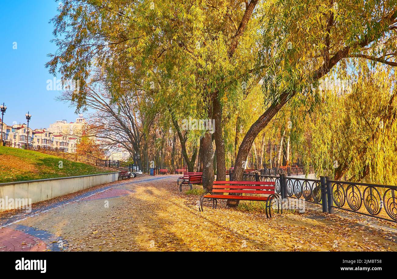 Il terrapieno panoramico del fiume Dnieper con alberi sparsi, fogliame di salice a terra e panchine di legno, Obolon, Kyiv, Ucraina Foto Stock