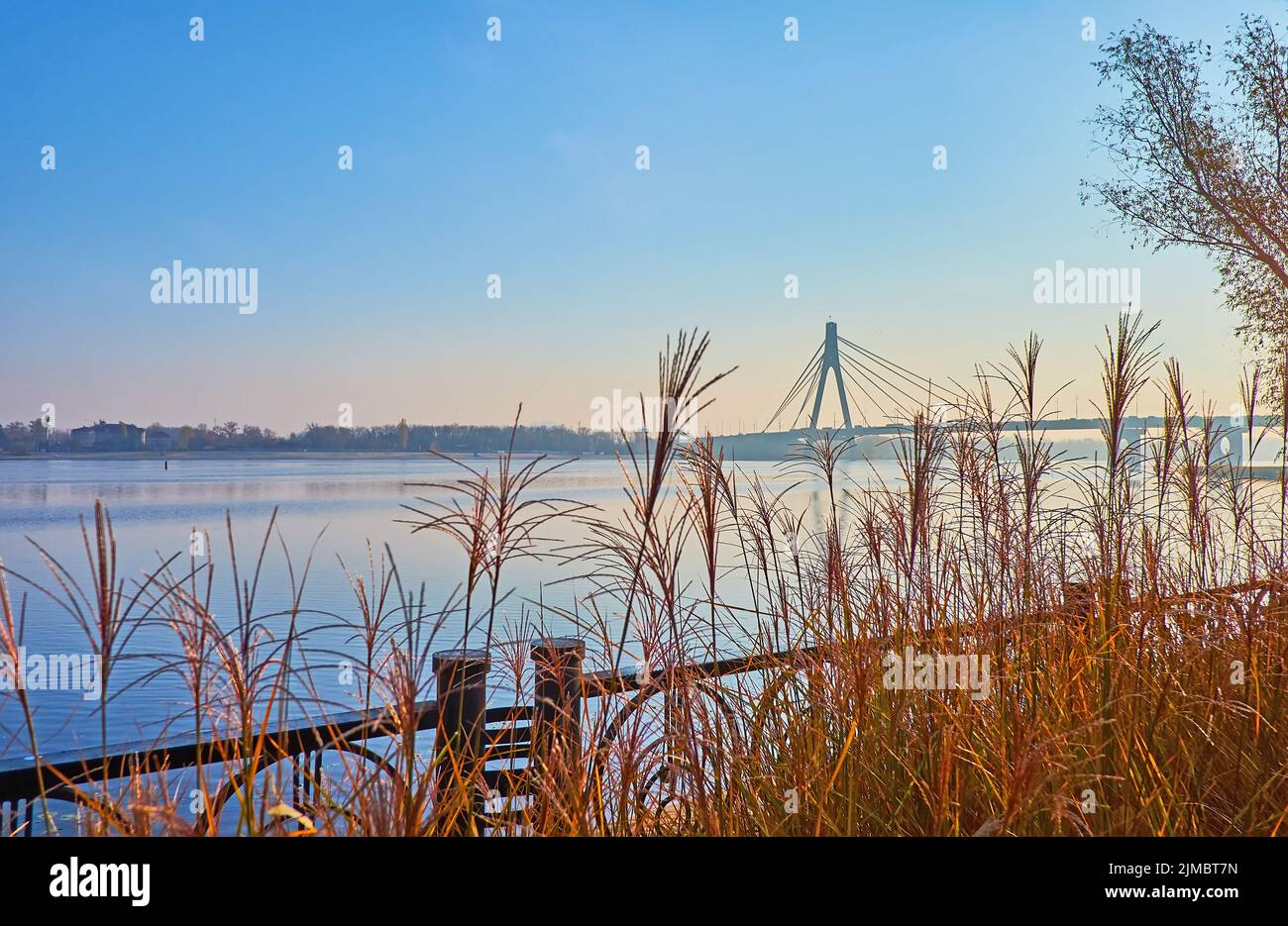 Goditi la nebbia della mattina autunnale al Natalka Park sul fiume Dnieper con una vista di addensati gialli secchi di erba argentea e di chiassosa Pivnichnyi (nord) Bridg Foto Stock