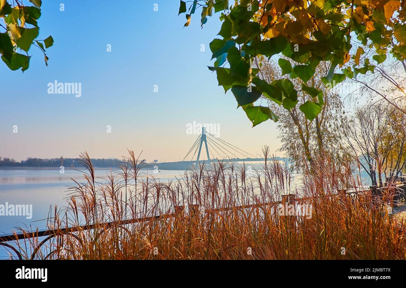 Il pittoresco parco autunnale con addensamenti di erba argentata ondeggiante sulla riva del fiume Dnieper con una vista sul Ponte di Pivnichnyi sullo sfondo, Kyiv, Ukr Foto Stock