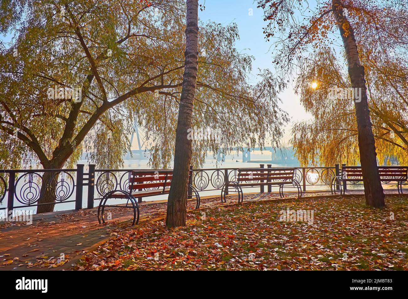 L'argine ombroso del fiume Dnieper con salici gialli rigogliosi, ondeggianti sul vento, foglie cadute a terra, panchine di legno, Obolon, Kyiv, Ukrain Foto Stock