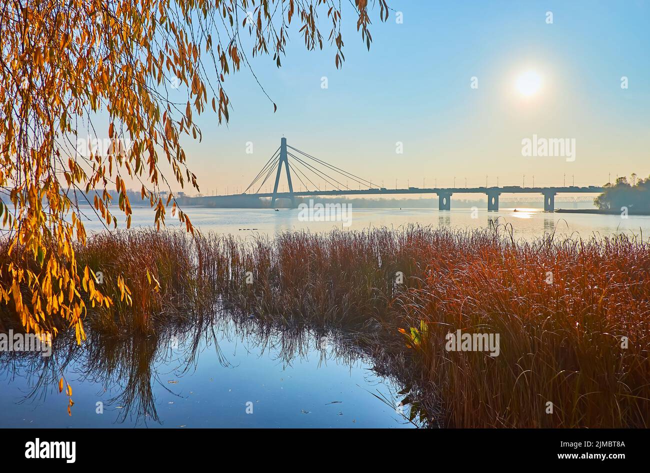 Goditi l'alba sul fiume Dnieper con vista sull'albero salice autunnale e sul ponte Pivnichnyi (nord) sullo sfondo, Kyiv, Ucraina Foto Stock