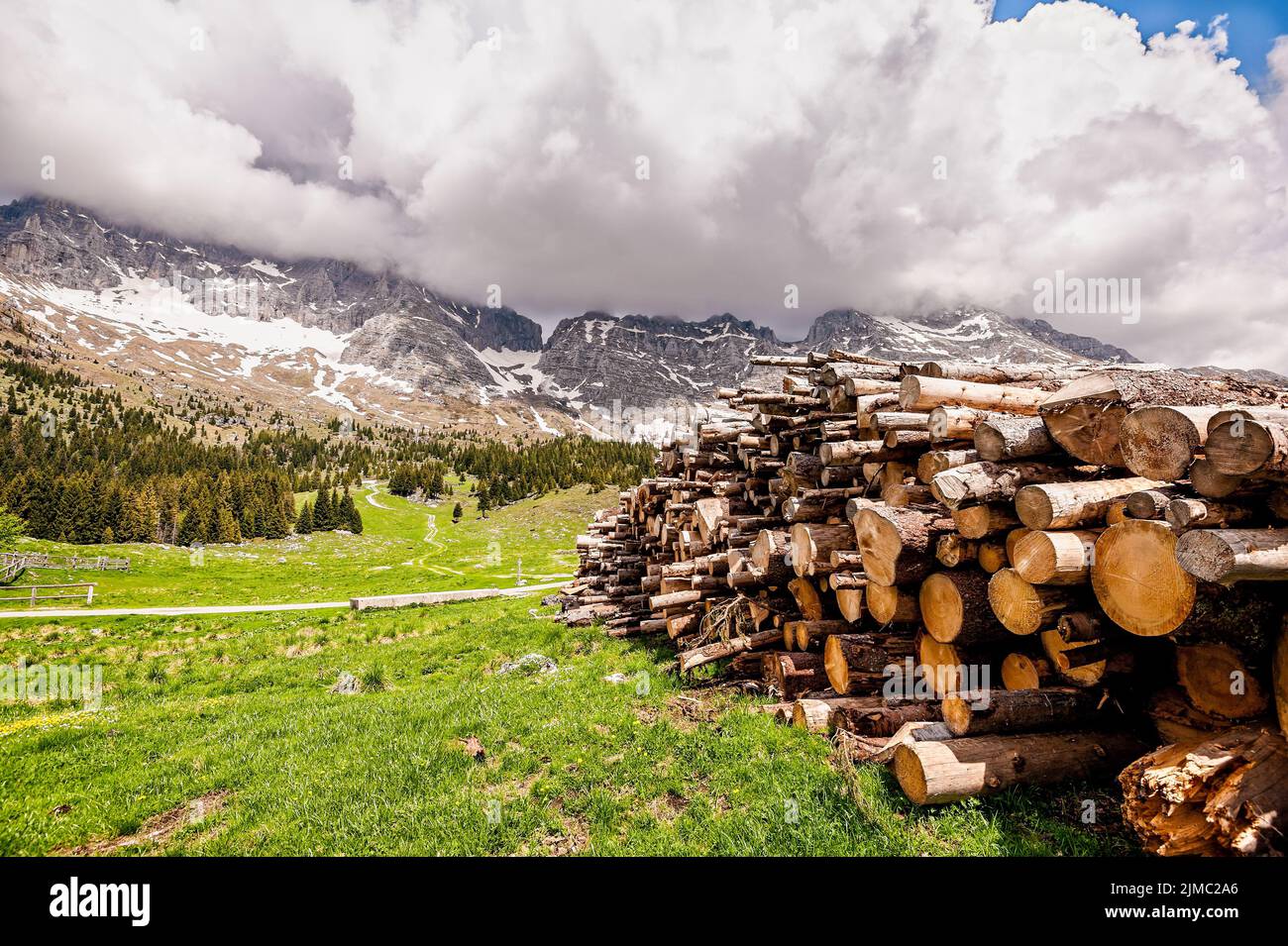 Paesaggio di montagna con la pila di tronchi in primo piano. Altopiano del Montasio, Alpi Foto Stock