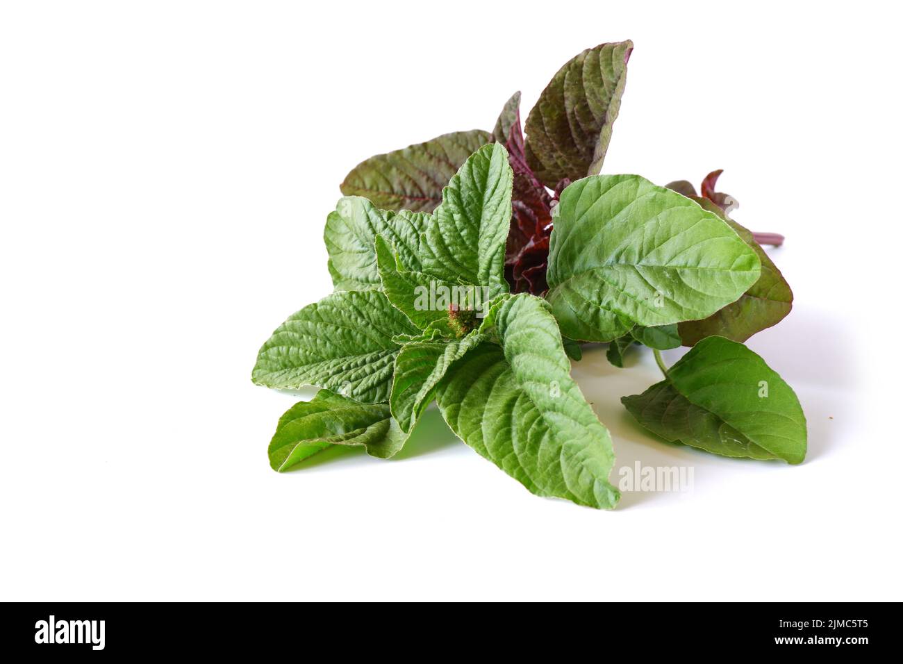 Foglie di amaranto verde e rosso su sfondo bianco. Ingredienti per cucinare ricette e piatti. Foto Stock