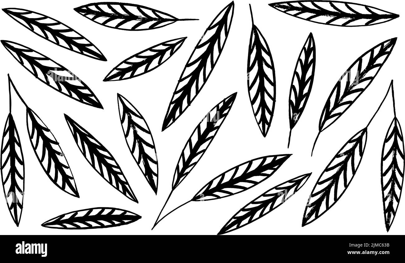 Grafica vettoriale nero foglie con venature decorative. Illustrazione Vettoriale