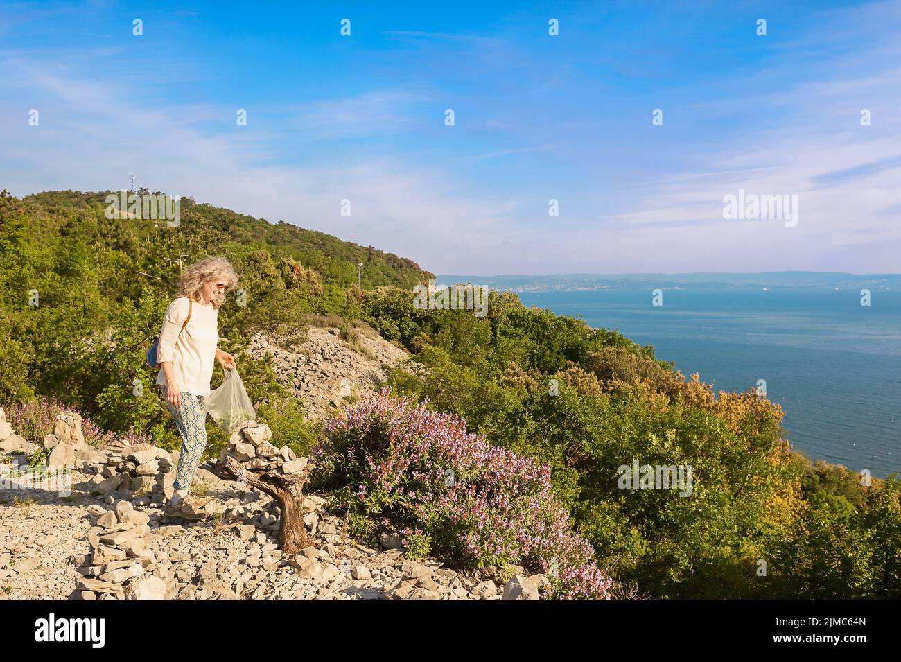 Escursionista femmina raccoglie selvatica Salvia sulla scogliera che si affaccia sul mare. Foto Stock